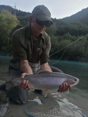 Lake rainbow trout Slovenia